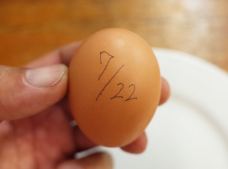 冷蔵庫に入れて四カ月放置の卵