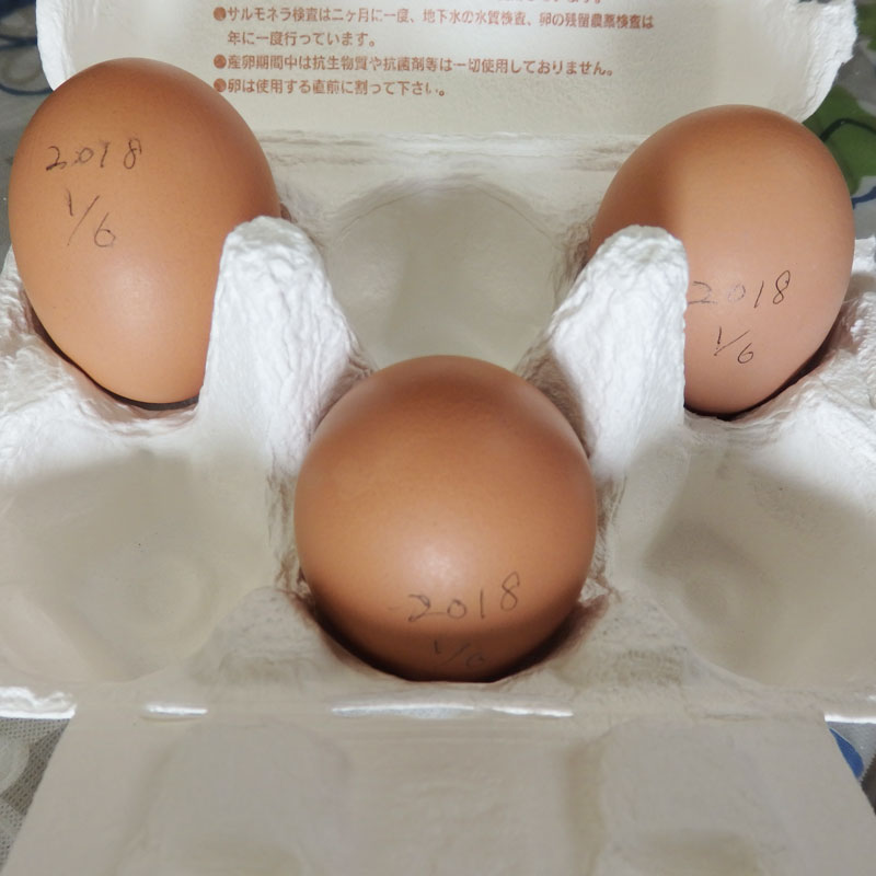 賞味期限検証のため、冷蔵庫に入れておいた卵