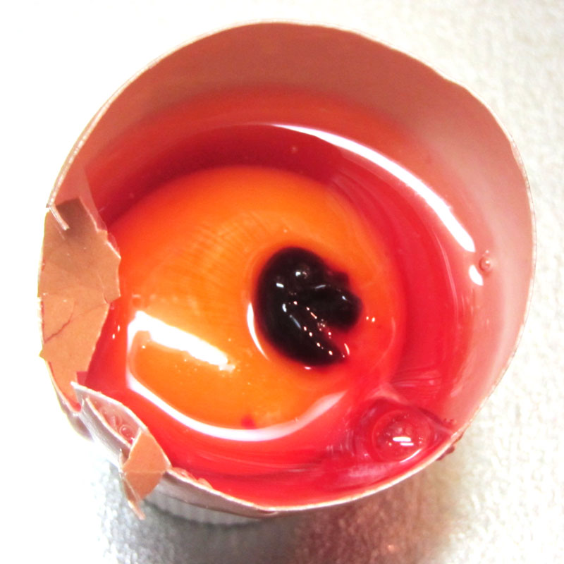 卵の白身の赤い血のような点々はミートスポットと言います 昔の味たまご 生で美味しいのは当然 料理の仕上がりそれが自慢 通販 お取り寄せも たまご街道 神奈川県 相模原市