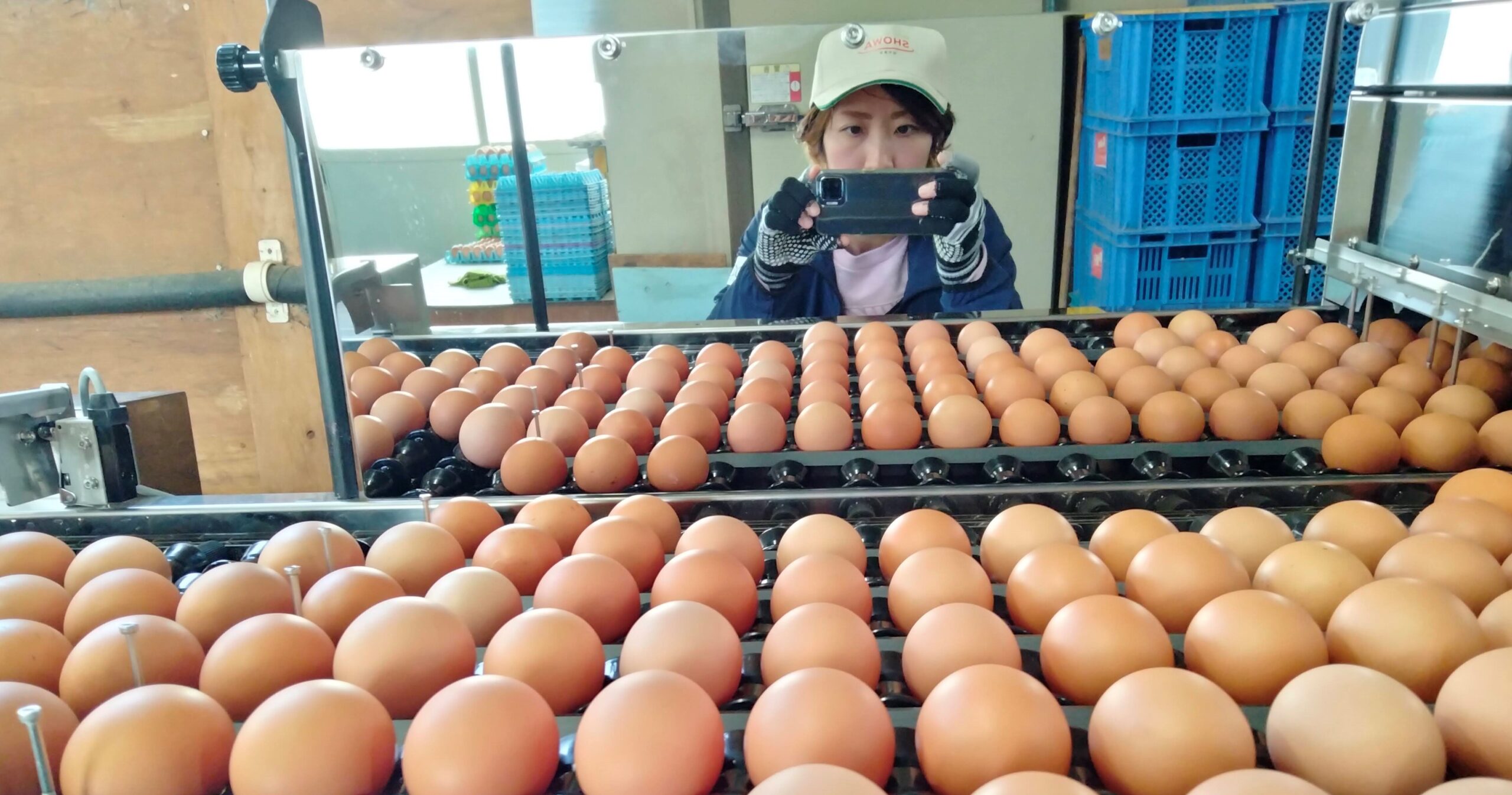 donbee様専用 有難いことににくじゃが～ず様主催の合同誌「火の鳥