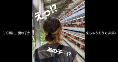 え！？男の子来ちゃったの？？雄鶏が混ざってました(笑)