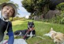 卵屋のニュースレター昔の味たまご通信2025年8月1日第六十一号