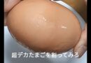 約1,320万分の1の確率『超デカたまごを割ったら〇〇〇だった！！！』