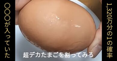 約1,320万分の1の確率『超デカたまごを割ったら〇〇〇だった！！！』