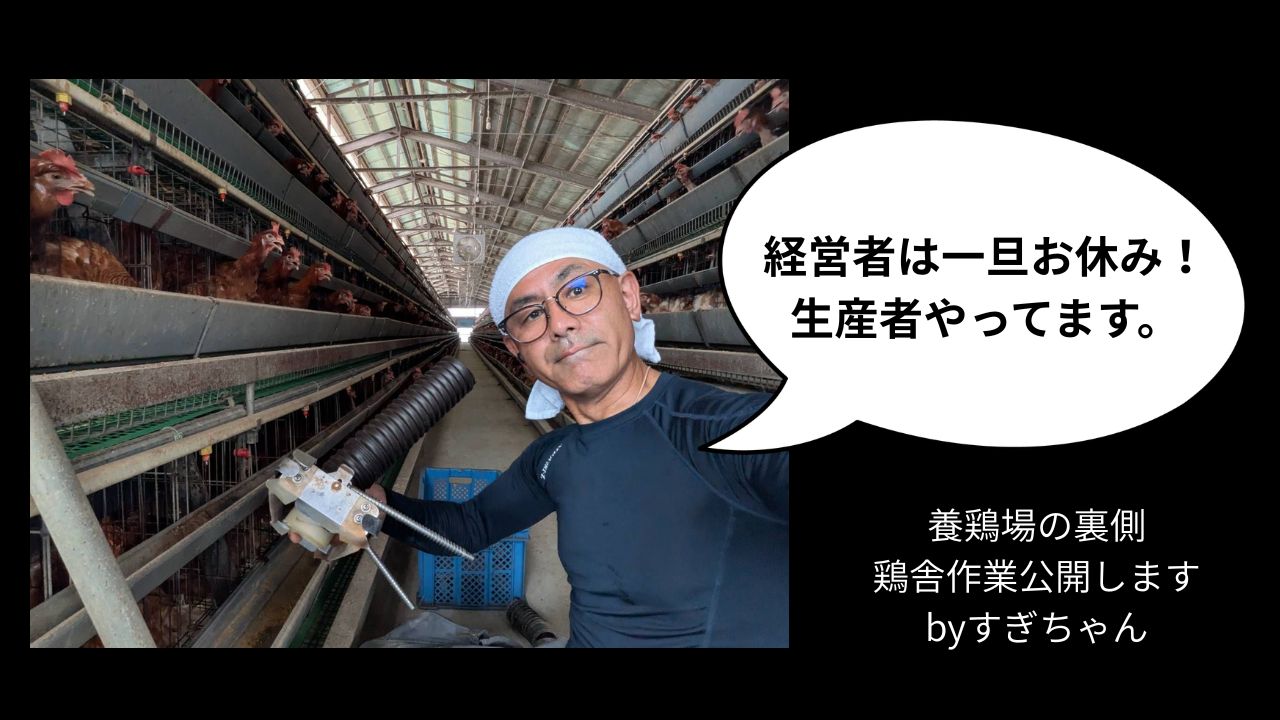 養鶏場の裏側公開】鶏たちにきちんとエサを与えるための修繕をする 