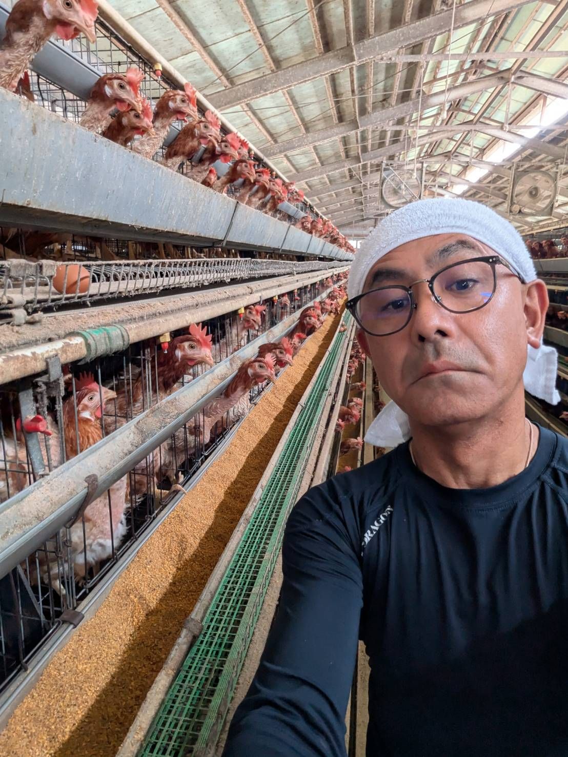養鶏場の裏側公開】鶏たちにきちんとエサを与えるための修繕をする