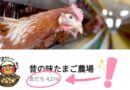 登録者4,000人超え！昔の味たまご公式LINEに登録するメリットとは？？