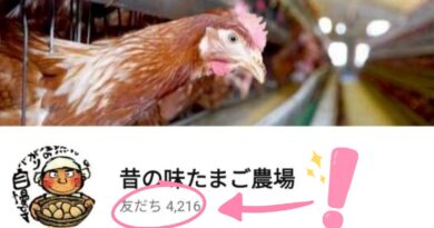 登録者4,000人超え！昔の味たまご公式LINEに登録するメリットとは？？