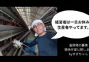 【養鶏場の裏側公開】鶏たちにきちんとエサを与えるための修繕をするどんべえ社長
