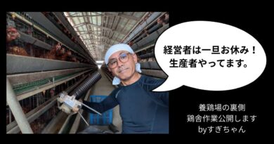 【養鶏場の裏側公開】鶏たちにきちんとエサを与えるための修繕をするどんべえ社長